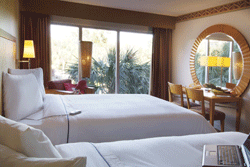 Radisson Resort Parkway Tropical Courtyard View: